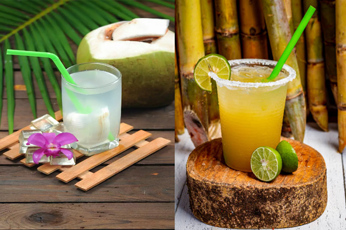 Sugarcane vs Coconut water