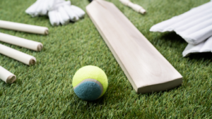 Cricket bat and ball on a grass pitch